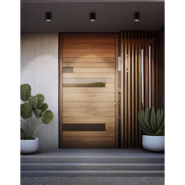 Уличный потолочный светильник Eglo Torrecola 901028