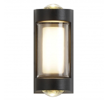 Уличный настенный светодиодный светильник Escada 30006W/01Led