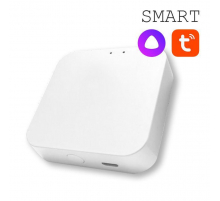 Конвертер WI-FI EKS Colibri Smart 0У-00002005