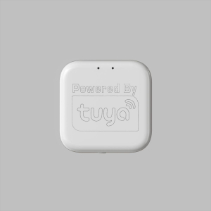 WIFI конвертер Denkirs Smart Control DK7400-WF