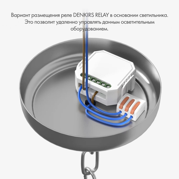 Wi-Fi реле-выключатель одноканальное Denkirs 1x2300Вт/250Вт для LED RL1001-SM/1