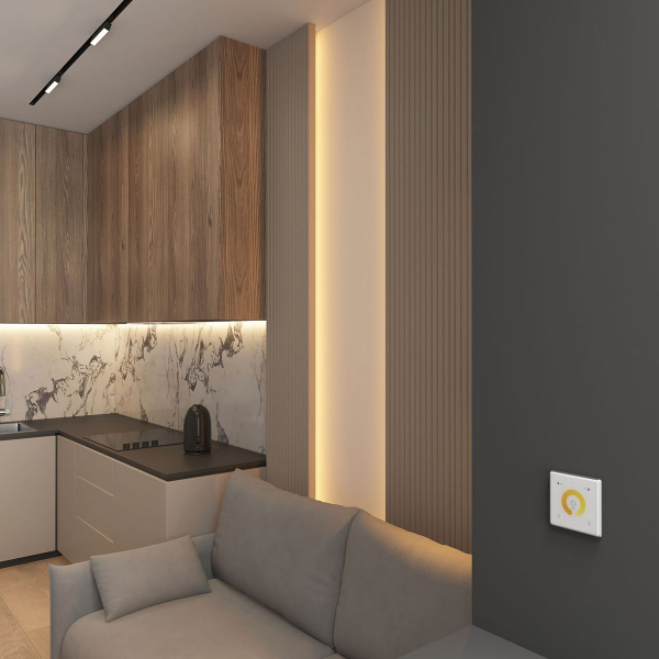 Настенная панель управления Denkirs Smart Control DK7200-WH Настенная панель управления Denkirs Smart Control DK7200-WH