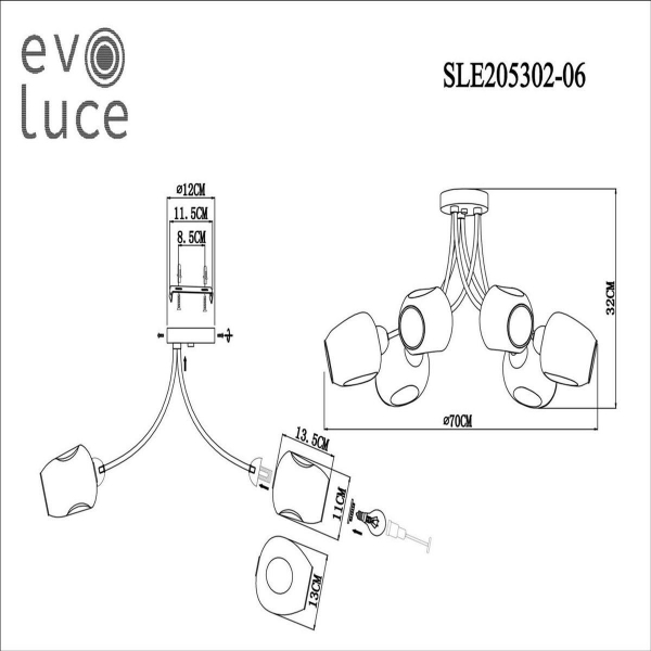 Потолочная люстра Evoluce Besano SLE205302-06 Потолочная люстра Evoluce Besano SLE205302-06