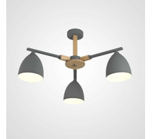 Потолочная люстра Imperium Loft Noa 101838-26