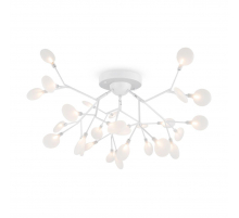 Потолочная люстра Freya Florencia FR5049CL-27W2