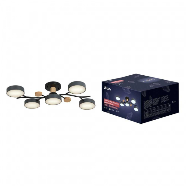Потолочная люстра Ritter SCANDIA 52080 1 Потолочная люстра Ritter SCANDIA 52080 1