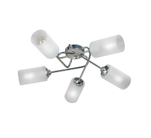 Потолочная люстра Vitaluce V4909-9/5PL