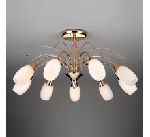 Потолочная люстра Eurosvet 22080/9 золото