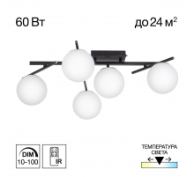 Потолочная светодиодная люстра Citilux Dorsy CL223152