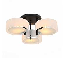 Потолочная люстра Evoluce Foresta SL483.402.03