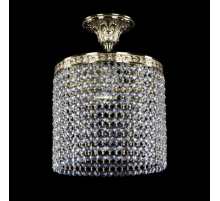 Потолочная люстра Bohemia Ivele 19201/25IV G R
