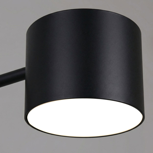 Потолочная люстра Reluce 47206-0.3-08BK