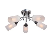 Потолочная люстра Vitaluce V4896-9/5PL