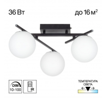 Потолочная светодиодная люстра Citilux Dorsy CL223132