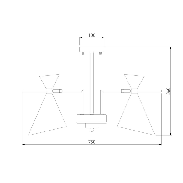 Потолочная люстра Eurosvet Apart 70114/5 белый