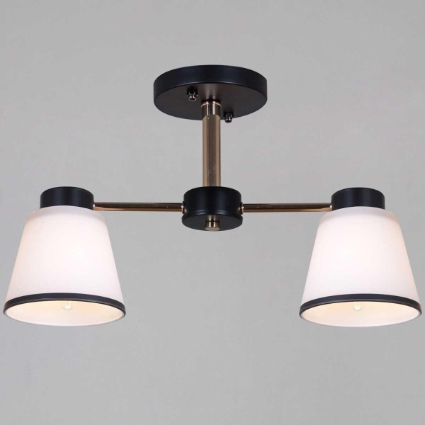 Потолочная люстра Reluce 30560-0.3-02 BK+FG