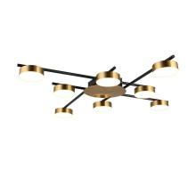 Потолочная светодиодная люстра Aployt Delayn APL.042.07.56