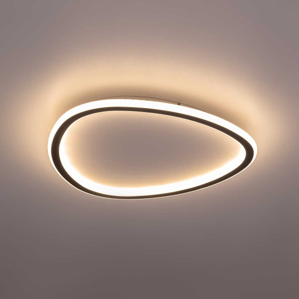 Потолочная люстра Citilux CL215B241E