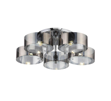 Потолочная люстра Evoluce Foresta SL483.702.05