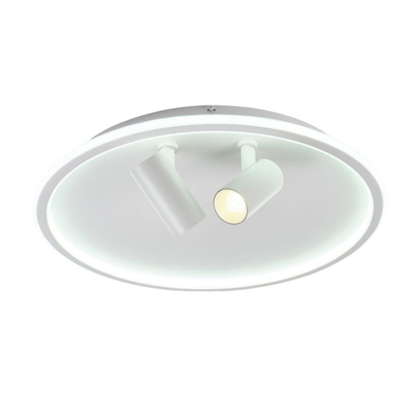 Потолочная светодиодная люстра MyFar Ceiling Focus MR9050-CL Потолочная светодиодная люстра MyFar Ceiling Focus MR9050-CL