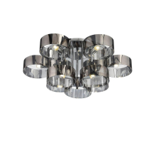 Потолочная люстра Evoluce Foresta SL483.702.09