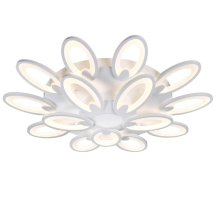 Потолочная светодиодная люстра Omnilux OML-45807-210