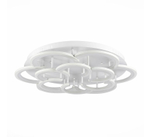 Потолочная светодиодная люстра Evoluce Bonn SLE200502-12