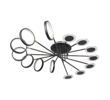 Потолочная светодиодная люстра Loft IT Megan 10164L Black