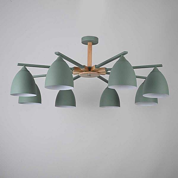 Потолочная люстра Imperium Loft Noa 8 Mint 183468-26