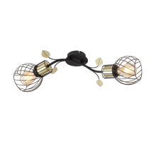 Потолочная люстра Globo Lally 54113-2W