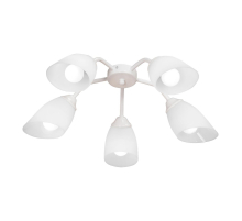 Потолочная люстра Vitaluce V31950/5PL