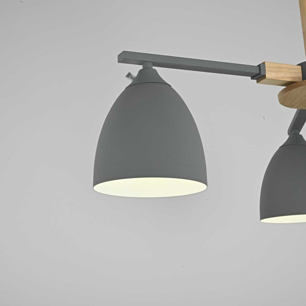 Потолочная люстра Imperium Loft Noa 101838-26