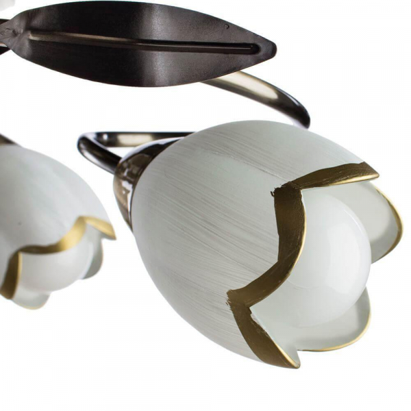 Потолочная люстра Arte Lamp 4 A6061PL-6AB Потолочная люстра Arte Lamp 4 A6061PL-6AB
