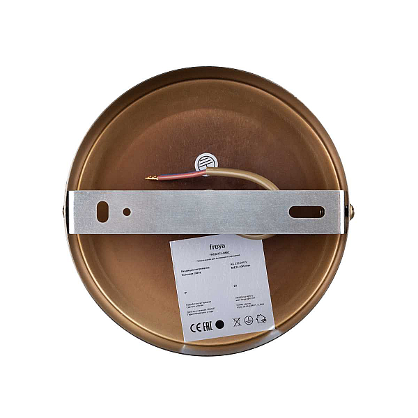 Потолочная люстра Freya Пепельный / Ashy FR5327CL-08BZ