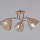 Потолочная люстра Reluce 02560-0.3-03 FG