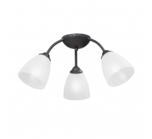 Потолочная люстра Vitaluce V3737-2/3PL