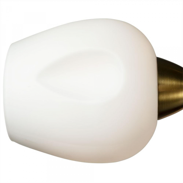 Потолочная люстра Arte Lamp Brighton A2706PL-5CK Потолочная люстра Arte Lamp Brighton A2706PL-5CK