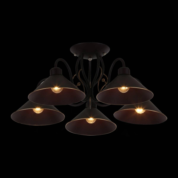 Потолочная люстра Evoluce Ciolla SLE120402-05 Потолочная люстра Evoluce Ciolla SLE120402-05