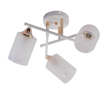 Потолочная люстра Rivoli Tammy 3162-303 Б0059258