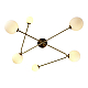 Потолочная люстра Evoluce FANTINI SLE2211-302-06