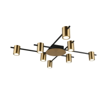 Потолочная люстра Aployt Elwisia APL.633.07.08