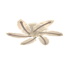 Потолочная люстра ЭкономСвет 51288/6+1WT WCL