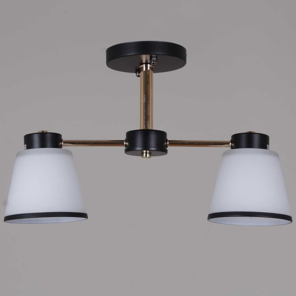 Потолочная люстра Reluce 30560-0.3-02 BK+FG