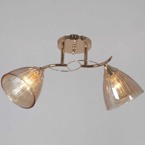 Потолочная люстра Reluce 02560-0.3-02 FG