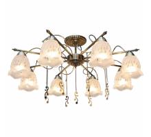 Потолочная люстра Toplight Delia TL1195X-08AB
