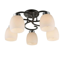 Потолочная люстра Globo 69018-5