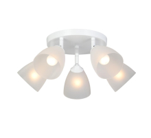 Потолочная люстра Vitaluce V4355-0/5PL