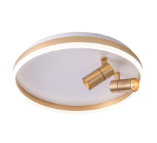 Потолочная светодиодная люстра Zortes Raizy ZRS.1888.02