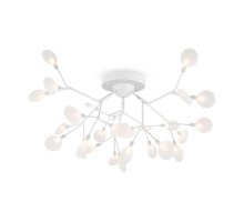 Потолочная люстра Freya Florencia FR5049CL-27W2