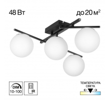 Потолочная светодиодная люстра Citilux Dorsy CL223142